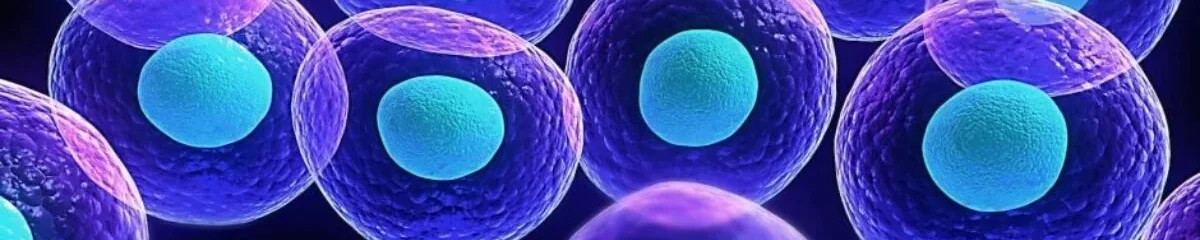 Cellule Staminali